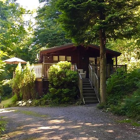 Mistletoe One Luxury Lodge With Hot Tub Windermere Extérieur photo